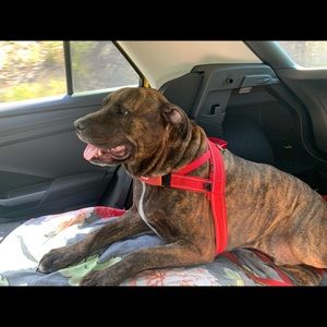 Meet your Posher, Chunyi